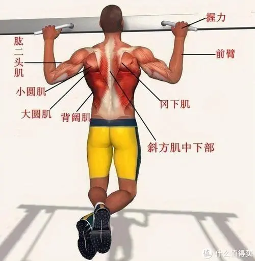 乒乓球台啥颜色好